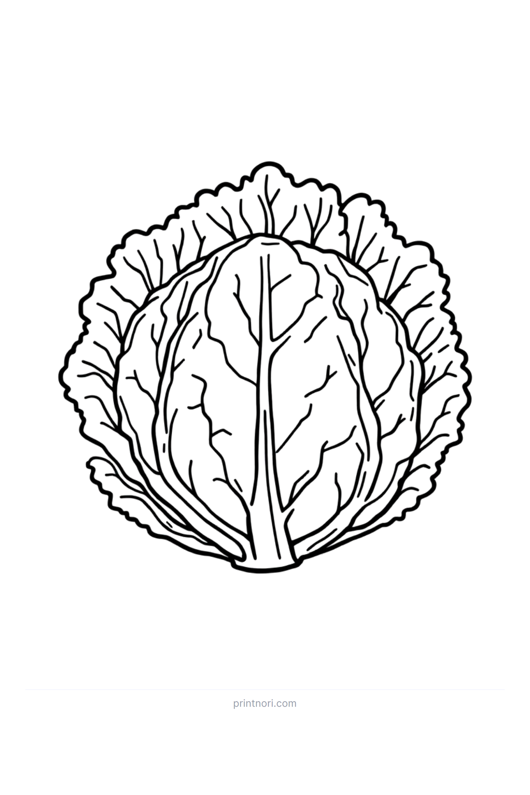 Cabbage Coloring - PrintNori | Free Printable Materials